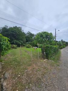 Pavones Turrialba, Cartago 30506, Costa Rica
