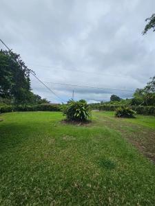 Pavones Turrialba, Cartago 30506, Costa Rica