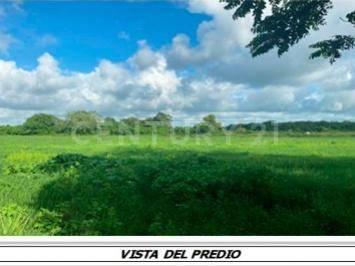 Terreno en venta 116.8 ha. en zona Manlio Fabio Altamirano, Veracruz .,, Manlio Fabio Altamirano, ولاية فيراكروز 94250, المكسيك