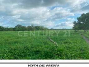 Terreno en venta 116.8 ha. en zona Manlio Fabio Altamirano, Veracruz .,, Manlio Fabio Altamirano, 韋拉克魯斯 94250, 墨西哥