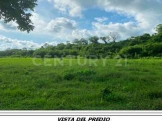 Terreno en venta 116.8 ha. en zona Manlio Fabio Altamirano, Veracruz .,, Manlio Fabio Altamirano, 韋拉克魯斯 94250, 墨西哥