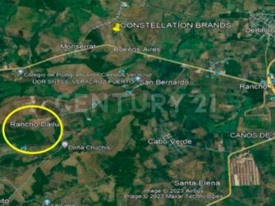 Terreno en venta 116.8 ha. en zona Manlio Fabio Altamirano, Veracruz .,, Manlio Fabio Altamirano, 韋拉克魯斯 94250, 墨西哥