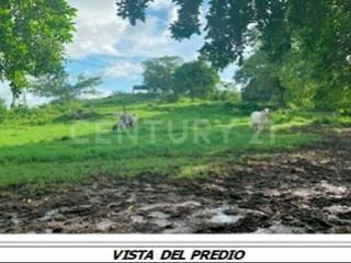 Terreno en venta 116.8 ha. en zona Manlio Fabio Altamirano, Veracruz .,, Manlio Fabio Altamirano, 韋拉克魯斯 94250, 墨西哥
