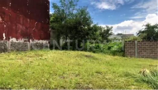 Manzana 15 lote 19,, Xochitepec, Morelos 62790, Mexico