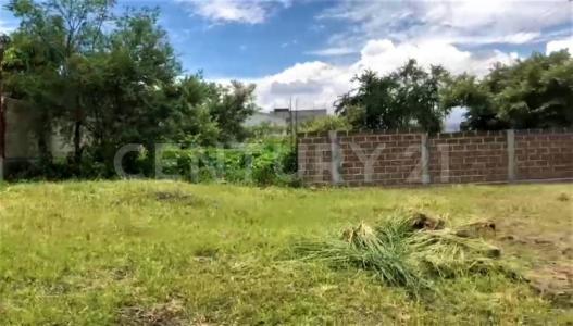 Manzana 15 lote 19,, Xochitepec, Morelos 62790, Mexico