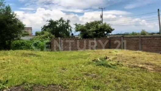 Manzana 15 lote 19,, Xochitepec, Morelos 62790, Mexico