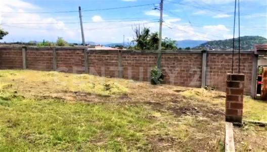 Manzana 15 lote 19,, Xochitepec, Morelos 62790, Mexico