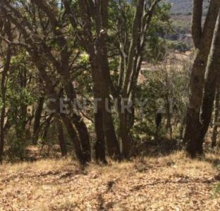 Camino damate S/N,, Chapa De Mota, Estado De México 54358, Mexico