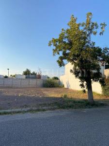 Troje Santo Tomás, s/n,, Torreón, Coahuila 27016, Mexique