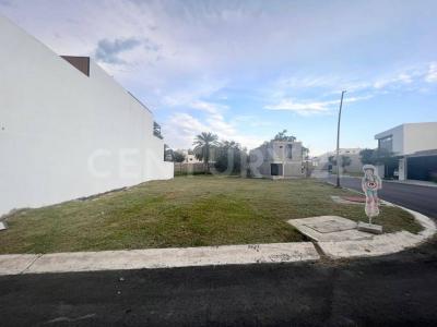 Santiago, Nuevo León 67323, Mexico