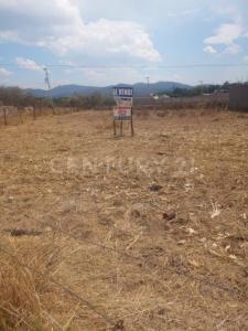 Zaragoza Fracción 22 Lote 3,, Chiquilistlan, Jalisco 48640, México