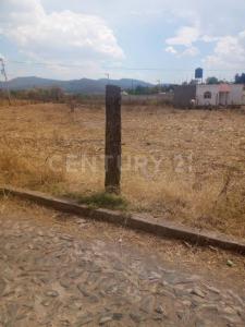Zaragoza Fracción 23 Lote 3,, Chiquilistlan, Jalisco 48640, México