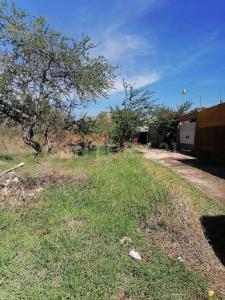 Jiutepec, Morelos 62551, México