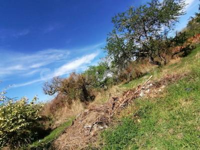 Jiutepec, Morelos 62551, México