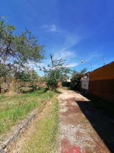 Jiutepec, Morelos 62551, México