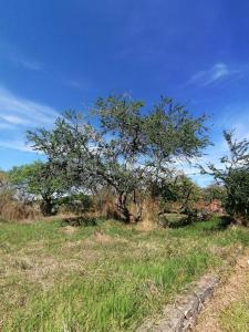 Jiutepec, Morelos 62551, México