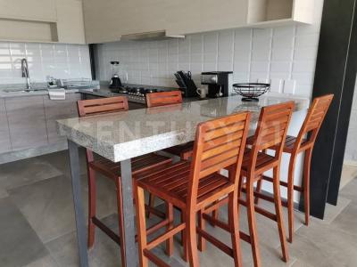 1 7,, Cuernavaca, 莫雷洛斯 62059, 墨西哥