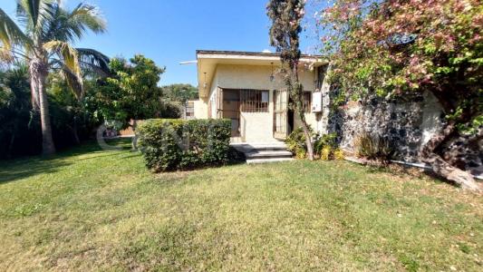 Coahuila 14,, Emiliano Zapata, Morelos 62763, México