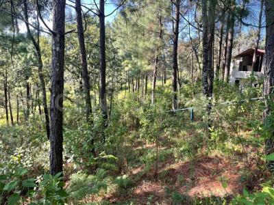 Mazamitla, ولاية خاليسكو 49500, المكسيك