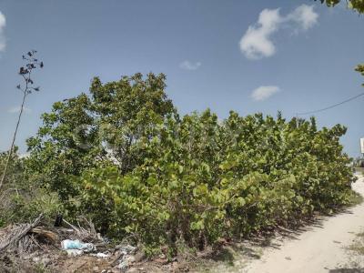 Ixil, Yucatan 97344, Mexico