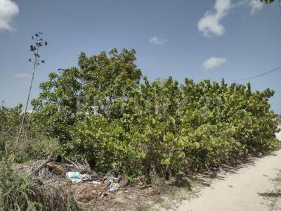 Ixil, Yucatan 97344, Mexico