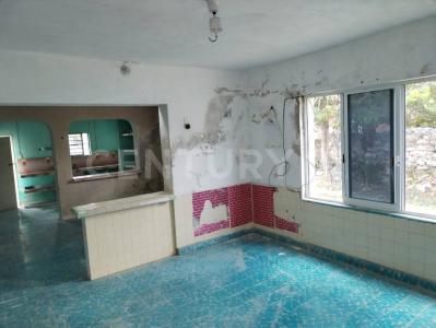 14 120,, Río Lagartos, Yucatán 97720, México