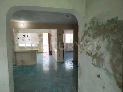 14 120,, Río Lagartos, Yucatán 97720, México