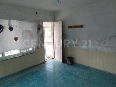 14 120,, Río Lagartos, Yucatán 97720, México