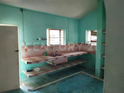 14 120,, Río Lagartos, Yucatán 97720, México