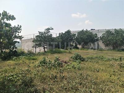 Tlaltizapan, Morelos 62770, Mexico