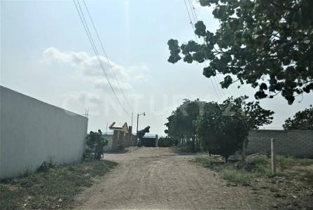 Tlaltizapan, Morelos 62770, Mexico