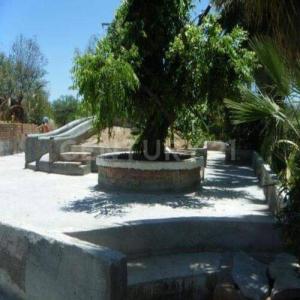 Calvillo, Aguascalientes 20820, Mexico