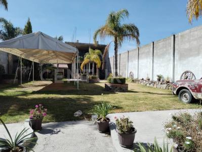 Apizaco, トラスカラ 90301, メキシコ