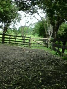 Acayucan, Veracruz 96000, Mexiko