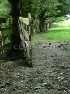 Acayucan, Veracruz 96000, Mexiko
