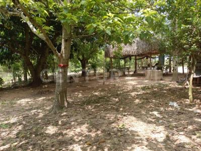 Minatitlan, Veracruz 96902, Mexico