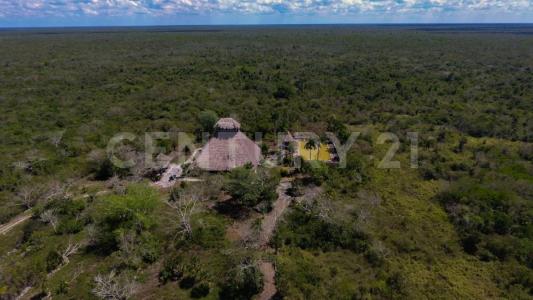 Cancún/Benito Juárez, Quintana Roo 77540, Mexico