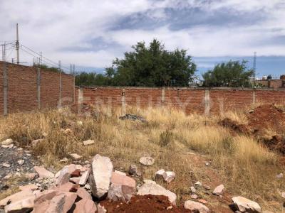 Guadalupe, Zacatecas 98605, Mexico