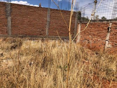 Guadalupe, Zacatecas 98605, Mexico