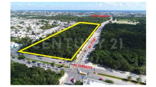 Solidaridad / Riviera Maya, Кинтана-Роо 77710, Мексика