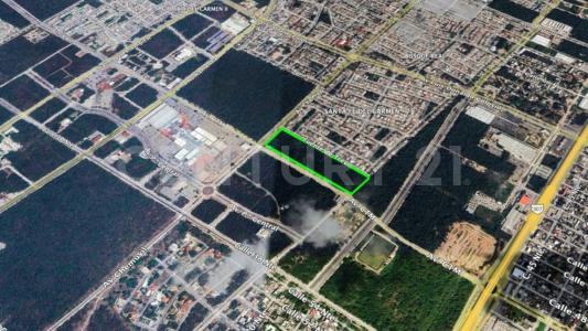Solidaridad / Riviera Maya, Кинтана-Роо 77710, Мексика