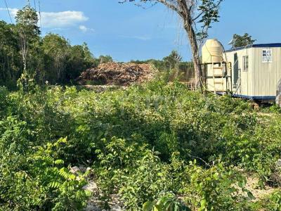 Solidaridad / Riviera Maya, Quintana Roo 77710, México