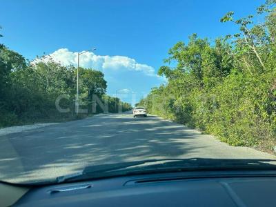 Solidaridad / Riviera Maya, Quintana Roo 77710, México