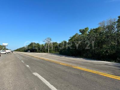 Solidaridad / Riviera Maya, Quintana Roo 77710, México