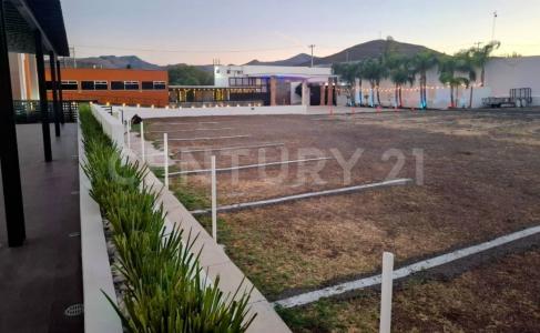 チワワ, チワワ 31223, メキシコ