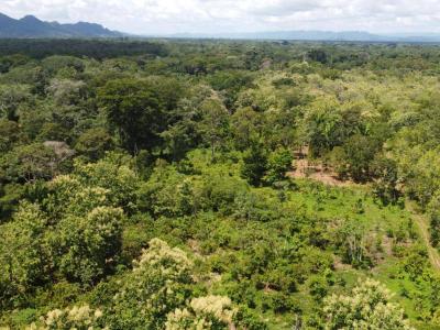 Emeri Grove, Toledo 00001, Belize