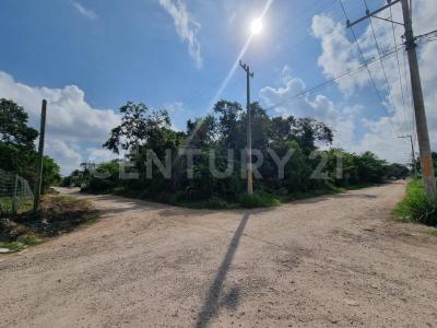 Alfredo Bonfil, calle emiliano zapata 01,, Cancún/Benito Juárez, Quintana Roo 77500, Mexico