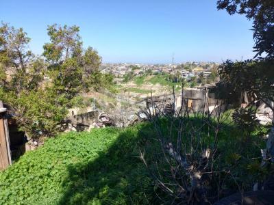 Corona Boreal 4345,, Tijuana, Baja California 22604, Mexico