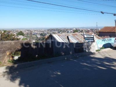 Corona Boreal 4345,, Tijuana, Baja California 22604, Mexico