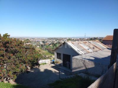 Corona Boreal 4345,, Tijuana, Baja California 22604, Mexico